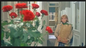 Red Flowers to Celbrate the Deal