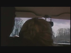 The view from Inside the Car