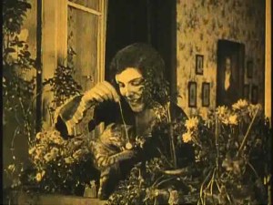 N1Kittens Frau Hutter