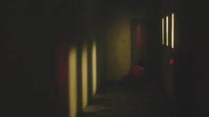 Life (and death) in solitary confinement